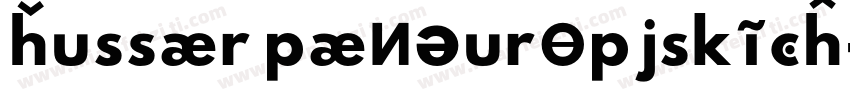 Hussar Paneuropjskich字体转换